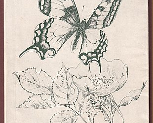 Jiří Švengsbír. Grafika.