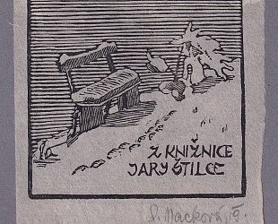 Z knižnice Jary Štilce. Zasněžená lavička.