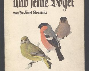 Der deutsche Wald und seine Vögel.