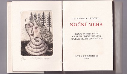 Noční mlha.