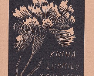 Kniha Ludmily Paulusové.