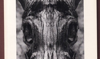 Milan Napravnik: Inversagen.