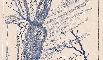 Ex Libris.