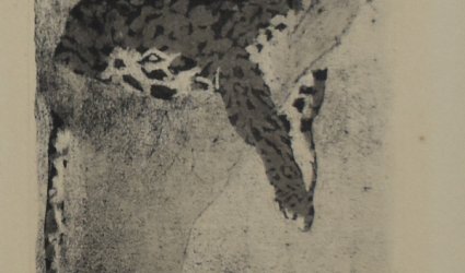 Gepard.