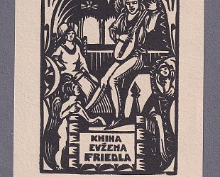 Kniha Evžena Friedla..