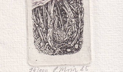 Kořeny.