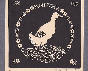 Knížka Udky Wenigové. Kachna.