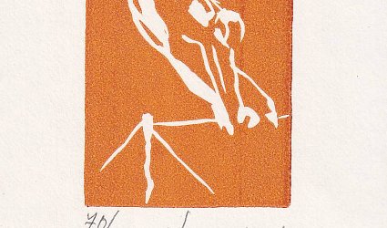 Gymnastka.