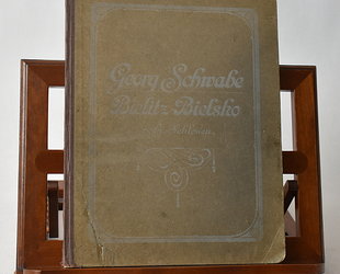 Maschinenfabrik und Eisengiesserei. Bielitz-Bielsko. Polen. Schlesien. Sonder-Katalog über den Schwabe-Stuhl.