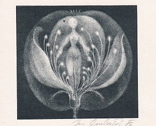 Jabloňová panenka.