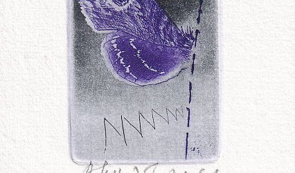 Motýl.