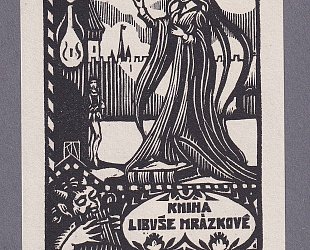 Kniha Libuše Mrázkové.