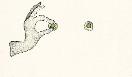 P F 2011. Vladimír Suchánek.