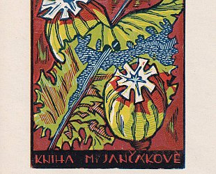 Kniha M. Jančákové.