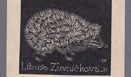 Libuše Žuvníčková. II. Ježek.